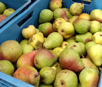 Lokální zaměření